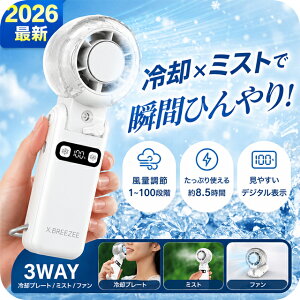 2026�ŐV �n���f�B�t�@�� ��p�v���[�g �~�X�g ���� 3in1 100�i�K ���� �É� 3WAY 3600mAh Type-C USB �[�d�� �n���f�B��@ �莝����@ �g�ѐ�@ �~�j��@ ��� ��|�� �񂩂� �J���r�i HDL-3595