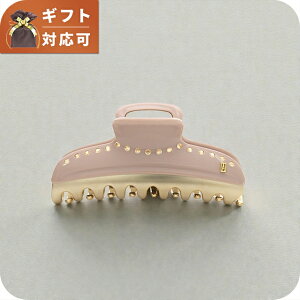 �A���N�T���h���h�D�p�� ALEXANDRE DE PARIS VENDOME �w�A�N���b�v ICCL-12832-03S5-BEIGE3053 ���f�B�[�X �u�����h