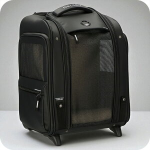 fZ[ L[P[X Y fB[X uh DELSEY 00328917000 ubN