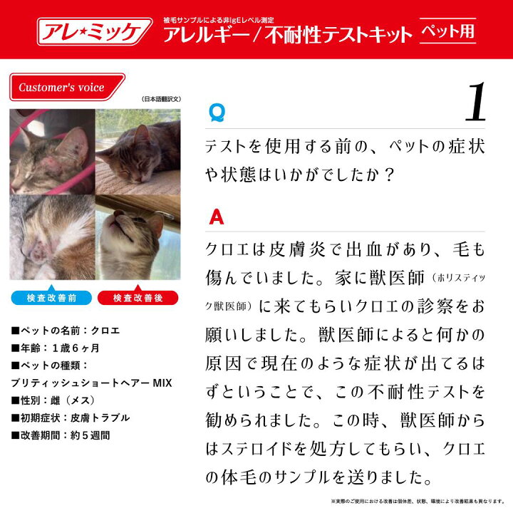 楽天市場 獣医師推奨 業界最多3項目 アレルギー不耐性検査キット アレミッケ 犬 猫 ペット アレルギー検査 Beelux