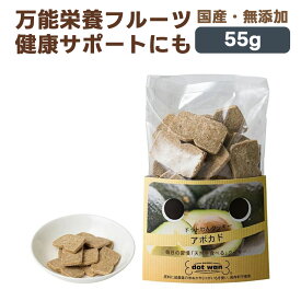 ドットわん フルーツクッキー アボカド 犬用おやつ 55g｜国産 無添加 犬 ごほうび 幼犬 成犬 シニア