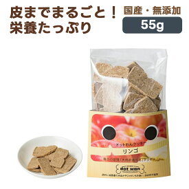 ドットわん フルーツクッキー リンゴ 犬用おやつ 55g｜国産 無添加 犬 ごほうび 幼犬 成犬 シニア りんご