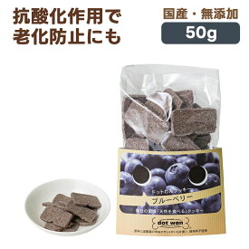 ドットわん フルーツクッキー ブルーベリー 犬用おやつ 50g｜国産 無添加 犬 ごほうび 幼犬 成犬 シニア