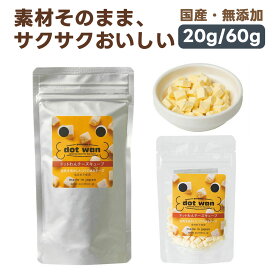 ドットわん フリーズドライ チーズキューブ 犬用おやつ 20g/60g｜国産 無添加 犬 トリーツ ごほうび 幼犬 成犬 シニア