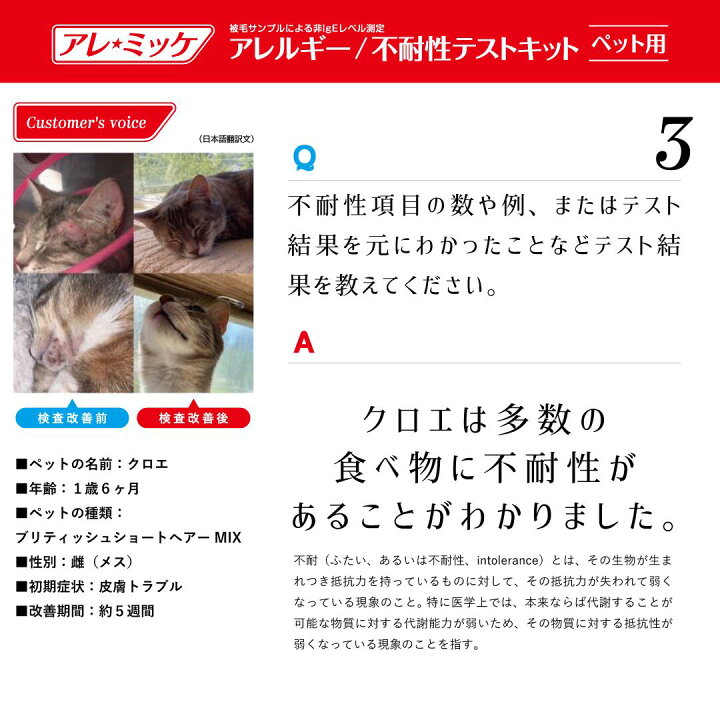 楽天市場 獣医師推奨 業界最多3項目 アレルギー不耐性検査キット アレミッケ 犬 猫 ペット アレルギー検査 Beelux