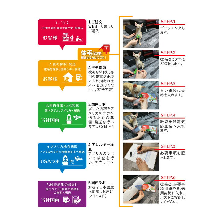 楽天市場 373項目 ２匹用 アレルギー不耐性検査キット アレミッケ 犬 猫 ペット アレルギー検査 最短当日発送 Beelux