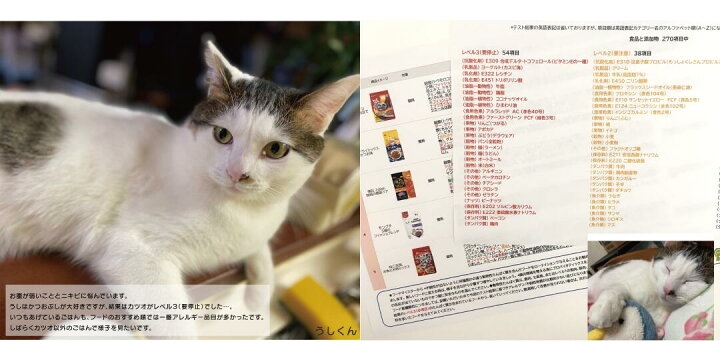 楽天市場 373項目 2匹用 アレルギー不耐性検査キット アレミッケ 犬 猫 ペット アレルギー検査 最短当日発送 Beelux 楽天市場 373項目 2匹用 アレルギー不耐性検査キット アレミッケ 犬 猫 ペット アレルギー検査 最短当日発送 Beelux