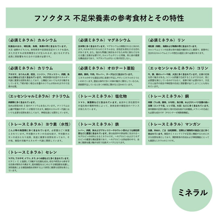 楽天市場 獣医師推奨 被毛でできる不足栄養素検査 犬猫用 フソクタス 不足 犬 猫 ペット 栄養 アレミッケ Beelux