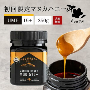 yz  I }kJnj[ UMF15+iMGO514+j 250gy͏tz GOgnj[Ёj[W[hY̖Y _ 100VR ݂͂ n`~c Mtg
