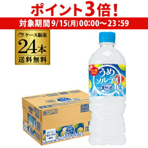 y9/15 P3{zTg[VR ߃\eB 540ml 24{ 1P[X  ~ E  ⋋ M ΍  hN EH[^[ PET ybg{g RSL