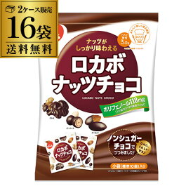 【2ケース買いが圧倒的にお得 1袋525円】でん六 ロカボナッツチョコ 146g 16袋 ケース販売 個包装 小袋 ミックスナッツ カワタキ