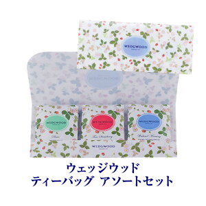 y11/1 P3{zEGbWEbh ChXgx[ eB[obO 3 9 WSN 5TB g Mtg  ̓ tBXJ[XWp |Xg 䂤pP ՕP