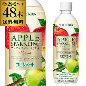  L×t@P@J~bgAbvXp[NOtbV 500ml×48{ 2P[X 2ł͂܂ Y_ ybg{g  R{ t[cY_ RSL