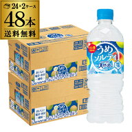 最安値に挑戦 1本あたり97円税別 サントリー天然水 うめソルティ 540ml×2ケース 計48本 送料無料 梅 ウ…
