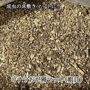 Ri}bg(e) 20bg yRi 100%z V̋xp}bg␬̏~}bgɁI () y}bgł͂܂ByF100TCYz