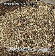 コナラおが屑マット(粗目) 2リットル 【コナラ 100%】 新成虫の休眠用マットや成虫の床敷マットに！ (注)…