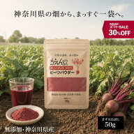 【9/4 20時から‼︎ 30%OFF‼︎】無添加ビーツパウダー 50g beets powder 無農薬 ちえんのうえん 神奈川…