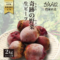 産地直送ビーツ ちえんのうえん 無農薬 2kg fresh beets beetroot 神奈川県産 農家 新鮮 ビートルート 国…