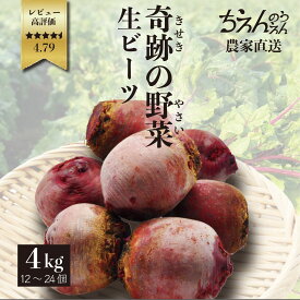 産地直送ビーツ ちえんのうえん 無農薬 4kg fresh beets beetroot 神奈川県産 農家 新鮮 ビートルート 国産 西洋野菜 スーパーフード 食べる輸血 beauty美容 美肌 healthy健康 生ビーツ 葉酸 オリゴ糖 食物繊維 ボルシチ ピクルス スムージー 食材 ギフト