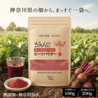 【SSアフターセール★クーポン配布中】無添加ビーツパウダー 100g/200g beets powder 無農薬 ちえんのう…