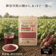 【SSアフターセール★クーポン配布中(敬老の日 ギフトにも)】無添加ビーツパウダー 50g beets powder 無…
