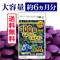 ビルベリー ルテイン サプリメント ブルーベリー サプリ【約6ヵ月分/360粒】北欧産100倍濃縮PLUSコンドロ…