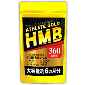 y[֑zHMB AX[gS[h Tvieʖ6/360j^ubgE}֕ʓr