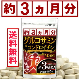 元気爆発！グルコサミン コンドロイチン MSM プロテオグリカン サプリメント サプリ 継続志向の方へ【約3ヵ月分】グルコサミン&コンドロイチン180【メール便送料無料】
