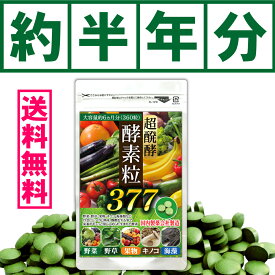 酵素 サプリ サプリメント 超醗酵 酵素粒377【メール便送料無料】 野草 クレンジング