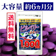 ビルベリー&ルテイン サプリメント（大容量約6ヵ月分/180粒）【メール便送料無料】1袋ビルベリー18万mg（…