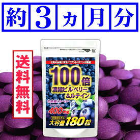 濃縮ビルベリー＆ルテイン（180粒）【メール便送料無料】※代引・宅急便別途送料※