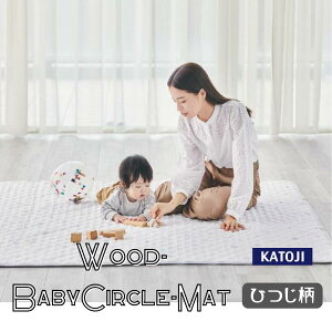 yŏIizvC}bg S}bg vCO ؐxr[T[NΉ}bg Ђ Jg[W KATOJI[݌Ɉ|]