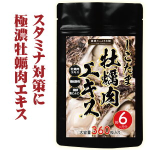 yGLX z e 6 yGLX VR^E  ɂɂ { X^~i Tv   { NՂ{