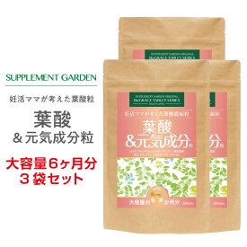 葉酸 鉄分 鉄 妊活 高配合 大容量 約6ヶ月分×3袋セット ミネラル カルシウム ビタミン 大容量 高配合 葉酸サプリ エラスチン コラーゲン プラセンタ 妊活ママが考えた 栄養 モノグルタミン酸 サプリメント サプリ 国内製造 日本製 サプリメントガーデン