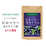 100倍濃縮 ビルベリー ルテイン アントシアニン 高濃縮 約1ヶ月分 ビルベリー15000mg（生原料換算）を100…
