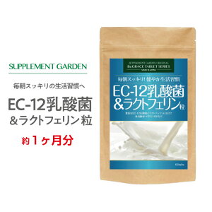 EC12_ 100 NgtF ۊ z 1 3000 EC12_ _ r[y zGCveC r^~B [Og N Tv Tvg \h  { Tv