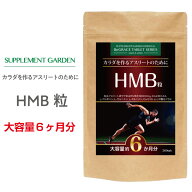 HMB BCAA アルギニン 高配合 大容量 約6ヶ月分 HMBカルシウム 36000mg BCAA Lカルニチン オルニチン グル…