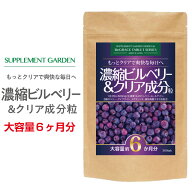 高濃縮 ビルベリー ルテイン 光対策 大容量 約6ヶ月分 ビルベリー ブルーベリー メグスリノキ アイブライ…