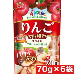 }J 񂲑n pӂXCX 70g ×6܃Zbg ܂Ƃߔ Y   nX^[ GT ͂  