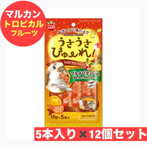 }J ҂[ gsJt[c i10g×5{j×12 Zbg ܂Ƃߔ Y   ETM 