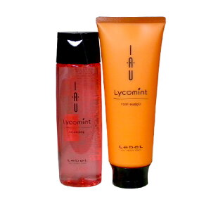 x CI R~g NWO 200ml [gTv 200ml Lebel IAU Lycomint 20 30 40 50 60 eꔄi Tꔄ  fB[X j Y
