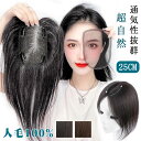 【 新型式スイスメッシュ ＆ 人毛100% 】 ヘアピース 人毛 部分ウィッグ トップカバー 自然 医療用 トップウィッグ シ…