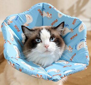 10%off GUxXJ[ Lp p y p ی  pEFA 畆a rߖh~   L \tg Lbg hbO ybgpi ybgObY _炩 X|W {^ n 