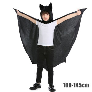 nEC RXv RE obg qp zS  Aj} j̎q ̎q RXvRX`[ Xqt LbY RXv  LbY ߑ RX`[  LbY 