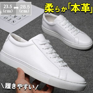 600~OFF Xj[J[ v EH[LO C {v IbNXtH[hV[Y Y JWA AEghA ʊw ʋ zCg  am  t H JWAV[Y X|[cV[Y