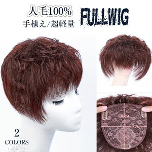 400~OFF EBbO V[g tEBbO l100% A ×p A i J[ {u   _[NuE p[} B fB[Y O  ×p Rȍ gbv