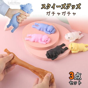 3 ObY XNC[Y   Ƃɂ XgX e XNC[YKWFbg  n G  _炩 h S ʔ a q lp XNC