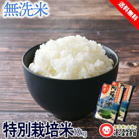 【令和5年産】無洗米 10kg 送料無料 九州産熊本県阿蘇産 特別栽培米 コシヒカリ5kg×2個セット 送料込み