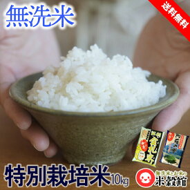 無洗米 10kg 九州＆東北 特別栽培米セット米 コシヒカリ ひとめぼれ 5kg×2 送料無料研がなくていいお米です