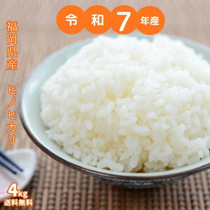 �y�ߘa7�N�Y�z�� �������� ������ 4kg �����ċ�B �������Y �q�m�q�J�� ������ �������Y �� �����߂� 2kg �������� 2�L��×2�� �Ђ̂Ђ���2025�N�Y